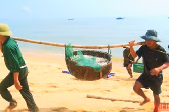 Ngư dân Quảng Xuân gánh cá cơm từ thuyền lên bờ.