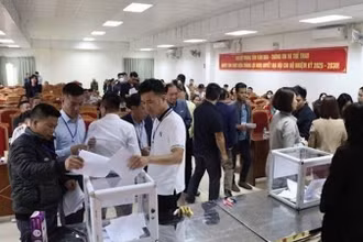[Video] Hà Nội thu hơn 250 tỉ đồng từ đấu giá đất ở Mê Linh