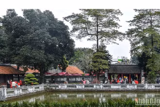 Ảnh minh họa: THÀNH ĐẠT