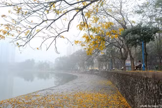 Ảnh minh họa.
