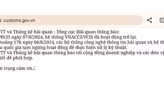 Thông báo trên trang web của Tổng cục Hải quan.