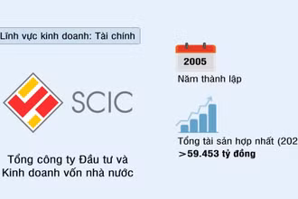 Tổng Công ty Đầu tư và Kinh doanh vốn Nhà nước (SCIC)