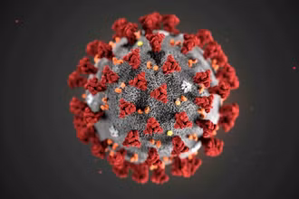 Virus SARS-CoV-2. Ảnh: Reuters