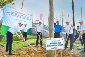 Ban Lãnh đạo Vietcombank cùng đại diện Công đoàn Ngân hàng Việt Nam, Ngân hàng Nhà nước chi nhánh tỉnh Tuyên Quang trồng cây tại Khu di tích lịch sử ngành ngân hàng Việt Nam.