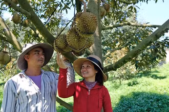 Phát huy lợi thế xuất khẩu rau quả 