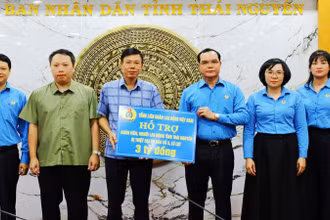 Lãnh đạo Tổng Liên đoàn Lao động Việt Nam thăm hỏi, trao số tiền 3 tỷ đồng cho tỉnh Thái Nguyên hỗ trợ viên chức, người lao động bị thiệt hại do lũ lụt.
