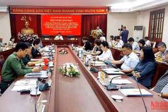 Toàn cảnh Hội nghị.