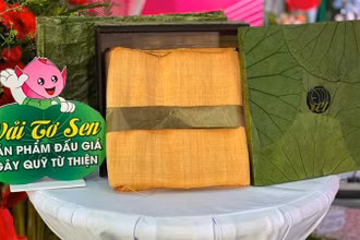 Mảnh vải lụa tơ sen khổ 1,4m × 3,5m được đấu giá 50 triệu đồng.