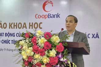 Phó Thống đốc Ngân hàng Nhà nước Đoàn Thái Sơn phát biểu tại hội thảo.