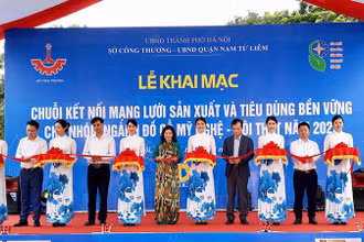 Kết nối “Mạng lưới sản xuất và tiêu dùng bền vững cho nhóm ngành đồ gỗ mỹ nghệ-nội thất năm 2022”.