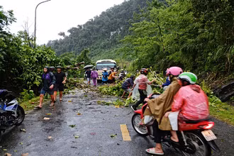 Mưa và gió to làm gãy đổ nhiều cây ven đường gây ảnh hưởng giao thông.