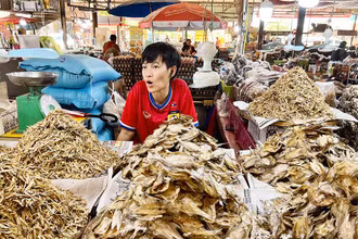 Quầy bán thực phẩm trong một chợ đầu mối tại thủ đô Vientiane, Lào. 