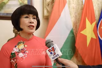 Tiến sĩ Phan Bích Thiện. (Ảnh: TTXVN)