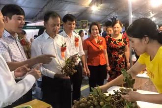 Hội chợ kết nối cung cầu tiêu thụ nhãn ở tỉnh Hưng Yên.