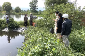 Đoàn kiểm tra tiến hành kiểm tra các hồ chứa nước thải của trang trại chăn nuôi.