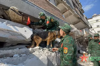 Bộ đội Công binh sử dụng thiết bị quan sát, đồng thời chó nghiệp vụ đánh hơi tìm kiếm tại vị trí khả nghi có nạn nhân. (Nguồn: Báo Quân đội nhân dân)