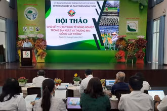 Quang cảnh hội thảo. 