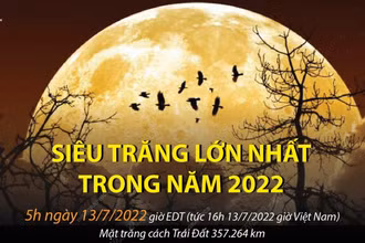 Ảnh minh họa. (Nguồn: TTXVN)