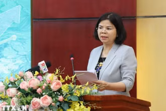 Bà Nguyễn Hương Giang. (Nguồn: TTXVN)