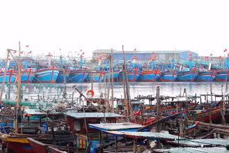 Các tàu cá có công suất máy trên 90CV trở lên được tỉnh Nghệ An hỗ trợ để giảm bớt khó khăn.