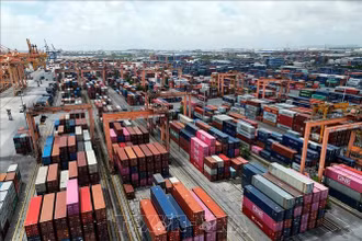 Kho bãi chứa container tại cảng Tân Vũ (Hải Phòng). (Ảnh minh họa: Tuấn Anh/TTXVN)