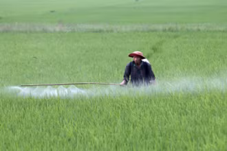 Phun thuốc bảo vệ thực vật phòng, chống sinh vật gây hại lúa. (Ảnh: TTXVN)