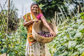 Các dự án nông nghiệp giúp xóa đói, giảm nghèo ở khu vực nông thôn của Nepal. (Ảnh ADB) 
