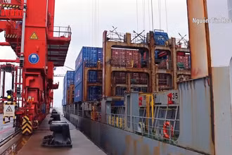 [Video] Chứng khoán lao dốc sau khi Trung Quốc áp thuế trả đũa Mỹ