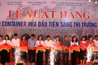Đại diện lãnh đạo tỉnh Hòa Bình và Công ty Tiến Ngân cắt băng khánh thành tại buổi lễ xuất hàng.