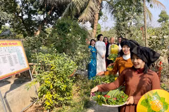 Các đại biểu tham gia trải nghiệm thiền hành hái thuốc trong "Vườn thuốc đời người Đền Thánh Nguyễn".
