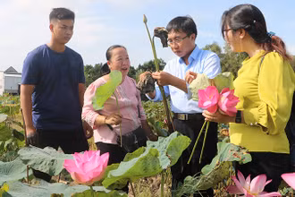 Mô hình “Xây dựng và hoàn thiện mô hình điểm quy mô 100ha chuyển đổi sản xuất hữu cơ, ứng dụng cơ giới hóa, công nghệ 4.0 gắn với liên kết tiêu thụ và du lịch trải nghiệm” ở Tổ hợp tác sen xã Hưng Thạnh”.
