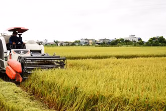 Đất đai ở tỉnh Nam Định có độ phì nhiêu cao, thuận lợi cho việc phát triển nông nghiệp, cần được quản lý chặt chẽ, hiệu quả, khai thác tối ưu tiềm năng. (Ảnh: XUÂN TRƯỜNG)