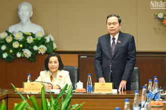Chủ tịch Quốc hội Trần Thanh Mẫn phát biểu chỉ đạo tại cuộc làm việc.