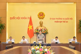 Phiên họp của Ủy ban Thường vụ Quốc hội