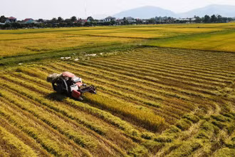 Bà con nông dân Hà Tĩnh tập trung máy móc đẩy nhanh tiến độ thu hoạch lúa xuân.