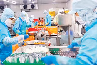 Chế biến hàng xuất khẩu tại Công ty cổ phần Saigon Food (Ảnh: nhandan.vn).