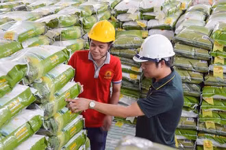 Gạo mang thương hiệu riêng "Cơm ViệtNam Rice" của Công ty CP Tập đoàn Lộc Trời được xuất khẩu sang thị trường châu Âu. (Ảnh: nhandan.vn)