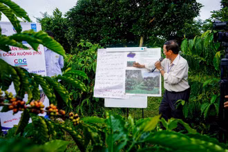 Cán bộ kỹ thuật hướng dẫn nông dân tại thôn Thanh Bình, xã Ea Kênh, huyện Krông Pắc, tỉnh Đắk Lắk tưới tiết kiệm nước để ứng phó với khô hạn. Ảnh: TTXVN