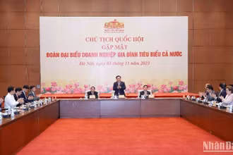 Lãnh đạo Quốc hội gặp gỡ đoàn đại biểu doanh nghiệp gia đình tiêu biểu.