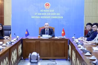 Phó Chủ nhiệm Ủy ban Biên giới Quốc gia (Bộ Ngoại giao) Nguyễn Mạnh Đông tham dự hội thảo trực tuyến. (Ảnh: Lâm Khánh/TTXVN)