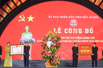 Huyện Lục Nam (Bắc Giang) đón nhận quyết định công nhận đạt chuẩn nông thôn mới.