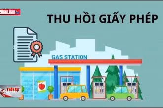 Nhiều doanh nghiệp xăng dầu bị thu hồi giấy phép