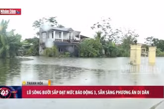 Lũ sông Bưởi sắp đạt mức báo động 3, sẵn sàng phương án di dân
