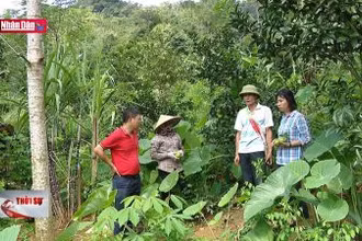 Phụ nữ vùng cao lan tỏa yêu thương và kỳ vọng