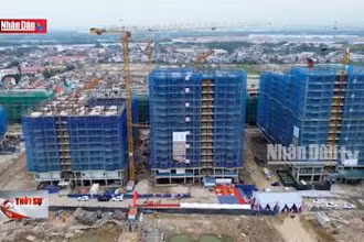 Hải Phòng đi đầu về phát triển nhà ở xã hội