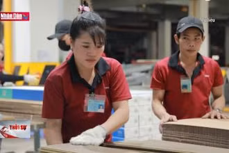 Đề xuất thưởng Tết trước ít nhất 20 ngày
