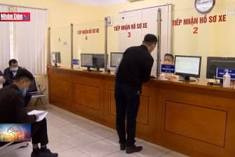 Đề xuất đấu giá biển xe máy