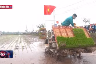 Đẩy mạnh đưa cơ giới hóa trong khâu gieo cấy lúa