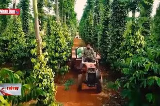 Kinh tế xanh: Những điểm nghẽn cần tháo gỡ