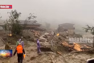 Thông tin an sinh xã hội sáng ngày 16-9-2024